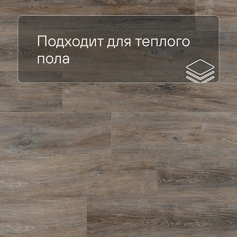 EvoFloor Home (Rus) Oak Ashen (фото 4)