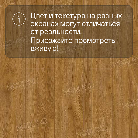 Norland Elegant Strong 12 4V 34 (CH) LF302-10 Дуб Хонсю (фото 10)