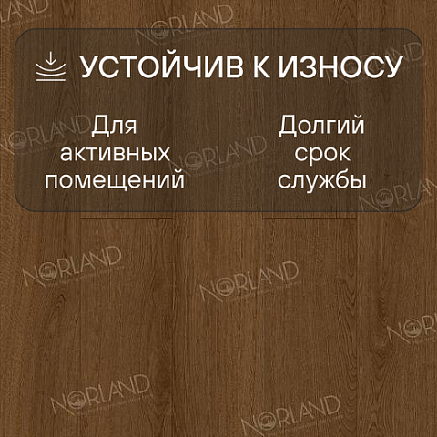 Norland Elegant Strong 12 4V 34 (CH) LF302-20 Дуб Этна (фото 3)