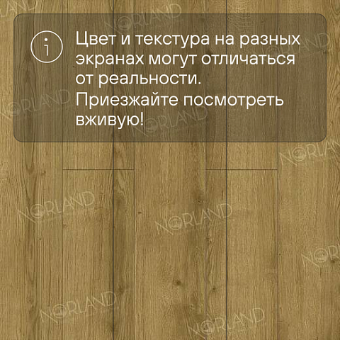 Norland Elegant Strong 12 4V 34 (CH) LF302-17 Дуб Фанэн (фото 10)
