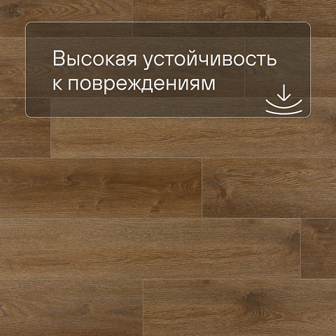 EvoFloor Home (Rus) Oak Brown (фото 5)