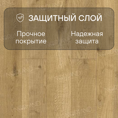 Norland Elegant Strong 12 4V 34 (CH) LF302-09 Дуб Хайнан (фото 2)