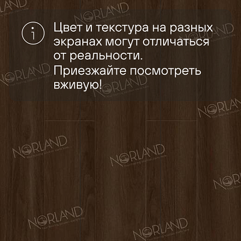 Norland Elegant Strong 12 4V 34 (CH) LF302-22 Дуб Треско (фото 10)
