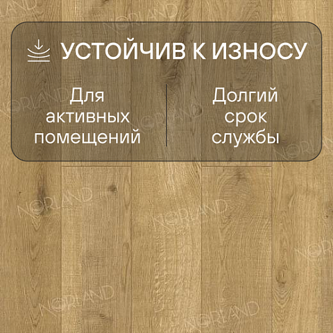 Norland Elegant Strong 12 4V 34 (CH) LF302-09 Дуб Хайнан (фото 3)