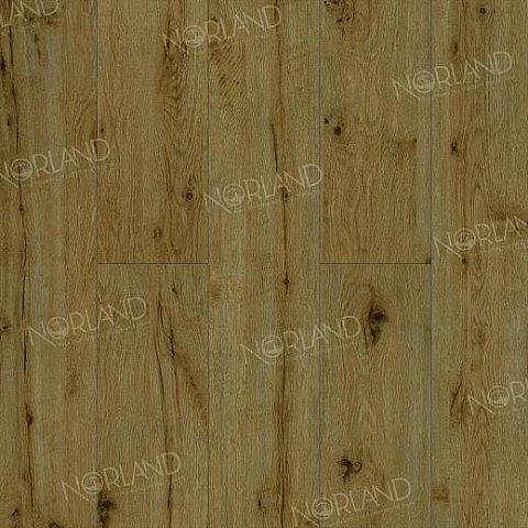 Norland Elegant Strong 12 4V 34 (CH) LF302-14 Дуб Скай (фото 1)