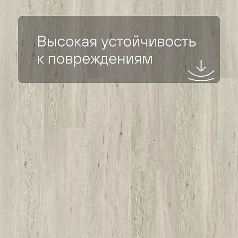 QS SPC Oasis OSPC 20260 Дуб облачный (фото 5)