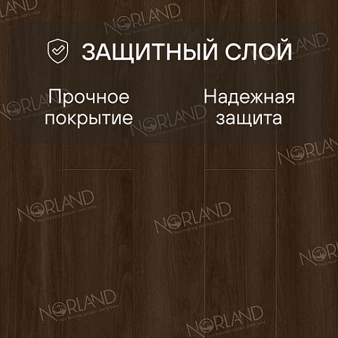 Norland Elegant 8 4V 33 (CH) LF301-22 Дуб Треско (фото 2)