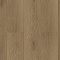 Alpine Floor SPC Grand Sequoia ЕСО 11-19 Вайпуа 4V 43кл (миниатюра фото 1)