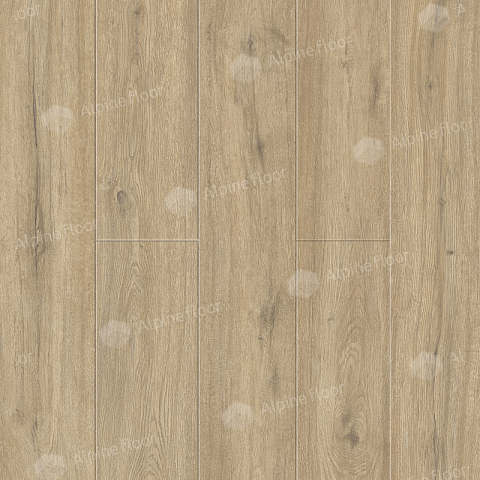 Alpine Floor SPC Solo Plus (RUS) ЕСО 14-1001 Анданте 4V 43кл (фото 1)