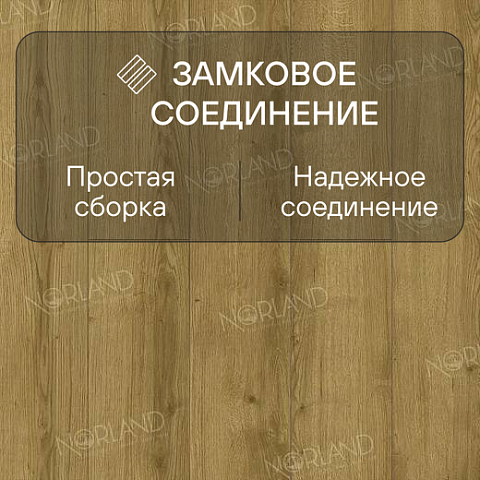 Norland Elegant Strong 12 4V 34 (CH) LF302-17 Дуб Фанэн (фото 4)