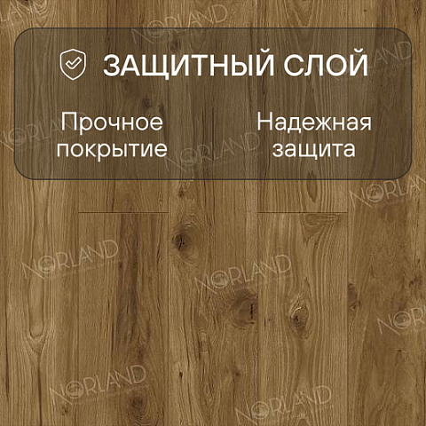 Norland Elegant Strong 12 4V 34 (CH) LF302-18 Дуб Корсика (фото 2)