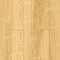 Norland Elegant Strong 12 4V 34 (CH) LF302-07 Дуб Тавора (миниатюра фото 1)