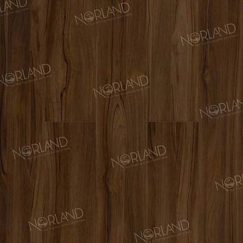 Norland Elegant Strong 12 4V 34 (CH) LF302-21 Орех Инис (фото 1)