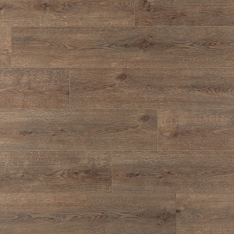 Alpine Floor SPC Solo Plus (RUS) ЕСО 14-301 Ларгетто 4V 43кл (фото 1)