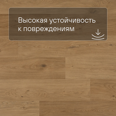 QS Second choice Alpha BLOS BASE  SPE40320 - AVSPT 40320 Дуб береговой медовый (фото 5)