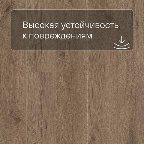 Norland Sigrid LVT (CH) 1003-17 Merian 4V 34кл (фото 8)