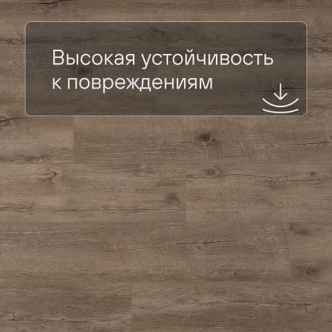 Planker Force 4V Дуб Фридом 4001 (фото 5)
