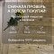 Skalla Wood Herringbone 12 мм 34 класс 4V HR 1020 Дуб Биркенес (Oak Birkenes) (миниатюра фото 6)