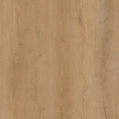 EvoFloor Home (Rus) Oak Honey (фото 5)