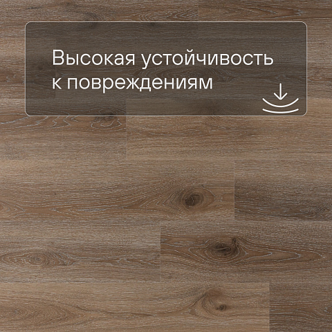 Norland Sigrid SPC (CH) 1001-22 Kveld 4V 34кл (фото 5)