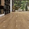 Alpine Floor SPC Solo Plus (RUS) ЕСО 14-301 Ларгетто 4V 43кл (миниатюра фото 13)