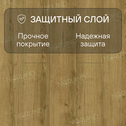 Norland Elegant Strong 12 4V 34 (CH) LF302-17 Дуб Фанэн (фото 2)