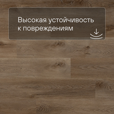 QS SPC Canyon CSPC 20299 Дуб северный коричневый (фото 5)