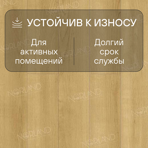 Norland Elegant Strong 12 4V 34 (CH) LF302-06 Дуб Лузон (фото 3)