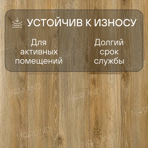 Norland Elegant Strong 12 4V 34 (CH) LF302-11 Дуб Крете (фото 3)