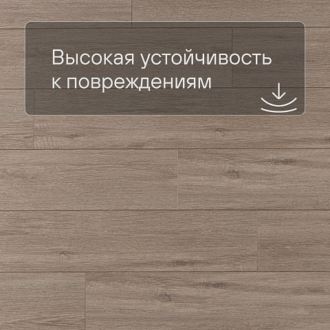 Deck Impulse 4V 3338 Болонья (фото 5)