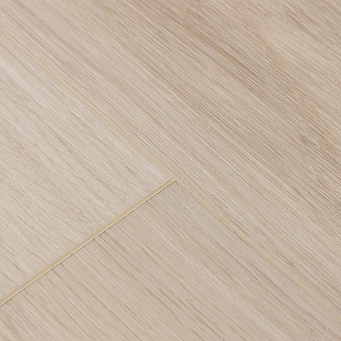 EvoFloor Home (Rus) Ash Light (фото 8)