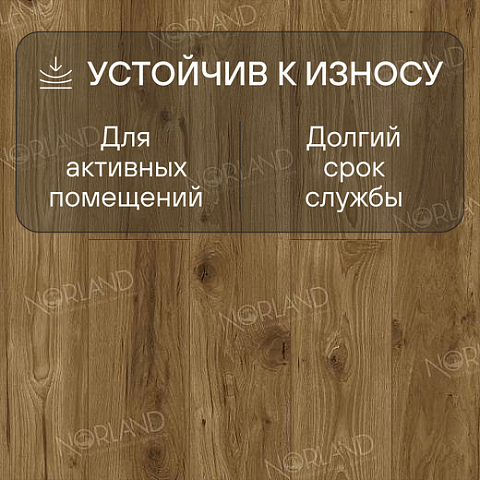 Norland Elegant Strong 12 4V 34 (CH) LF302-18 Дуб Корсика (фото 3)