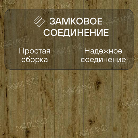 Norland Elegant Strong 12 4V 34 (CH) LF302-14 Дуб Скай (фото 4)
