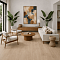 Norland Sigrid LVT (CH) 1003-6 Eli 4V 34кл (миниатюра фото 3)