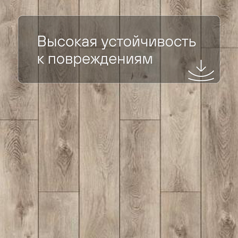 QS SPC Canyon CSPC 20298 Дуб северный натуральный (фото 5)