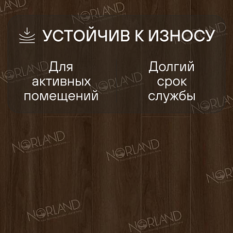 Norland Elegant Strong 12 4V 34 (CH) LF302-22 Дуб Треско (фото 3)