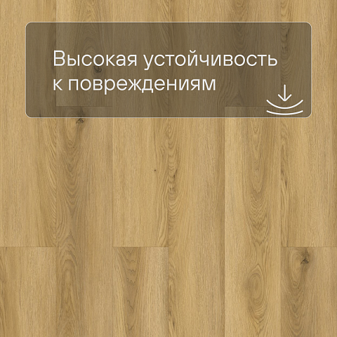 Laminext Revolute 4V Дуб Ортега 1402 (фото 9)