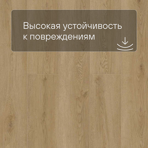 Norland Sigrid LVT (CH) 1003-21 Rett 4V 34кл (фото 8)
