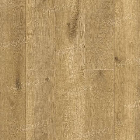 Norland Elegant Strong 12 4V 34 (CH) LF302-09 Дуб Хайнан (фото 1)
