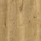 Norland Elegant Strong 12 4V 34 (CH) LF302-09 Дуб Хайнан (миниатюра фото 1)