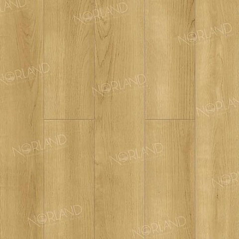 Norland Elegant Strong 12 4V 34 (CH) LF302-06 Дуб Лузон (фото 1)