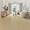 Evofloor Parquet Click 4V (CN) Manora (A+B) (миниатюра фото 2)