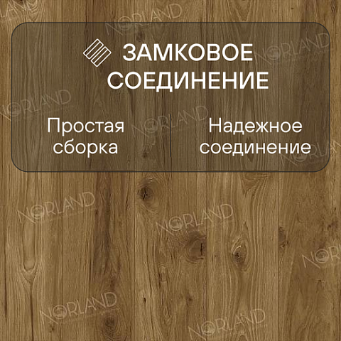 Norland Elegant Strong 12 4V 34 (CH) LF302-18 Дуб Корсика (фото 4)