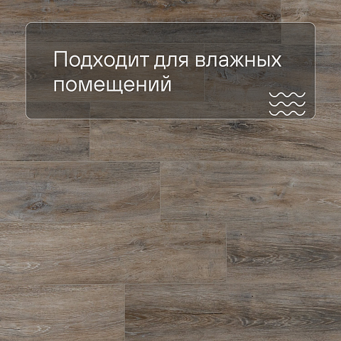 EvoFloor Home (Rus) Oak Ashen (фото 2)
