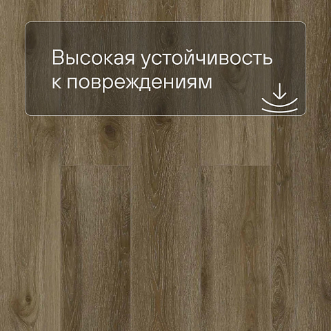 Norland Sigrid LVT (CH) 1003-22 Kveld 4V 34кл (фото 8)