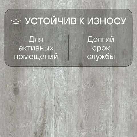Norland Elegant Strong 12 4V 34 (CH) LF302-16 Дуб Ислай (фото 3)