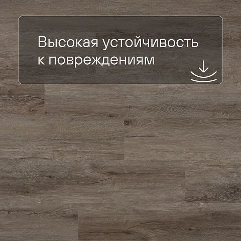 Alta Step Nativo New Lock (RUS) SPC2206 Дуб арктический (фото 5)