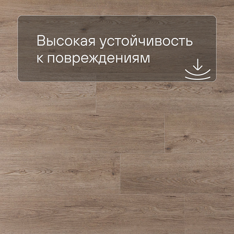 Norland Sigrid SPC (CH) 1001-8 Flosi 4V 34кл (фото 5)
