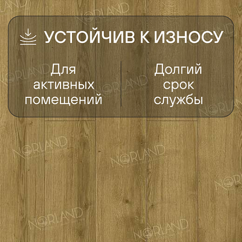 Norland Elegant Strong 12 4V 34 (CH) LF302-17 Дуб Фанэн (фото 3)