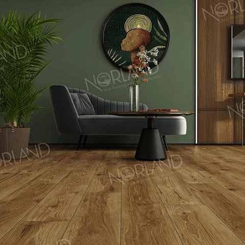 Norland Elegant Strong 12 4V 34 (CH) LF302-18 Дуб Корсика (фото 7)